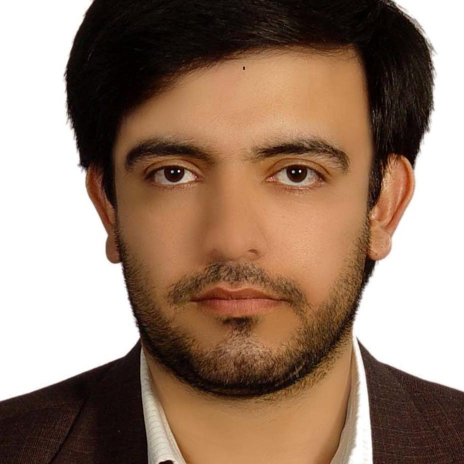 حامد هاشمی دزکی